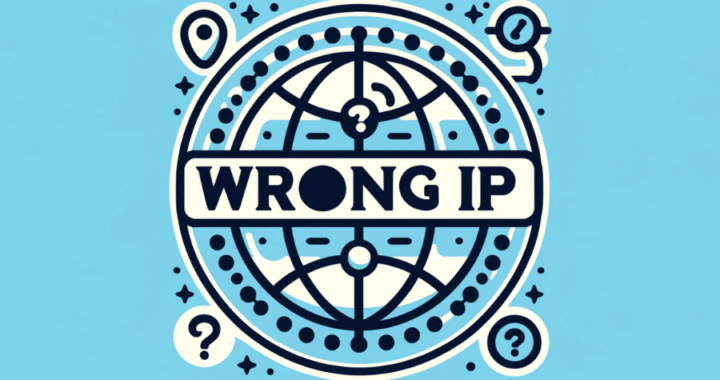 Understanding the “frdl.to Wrong IP” Issue